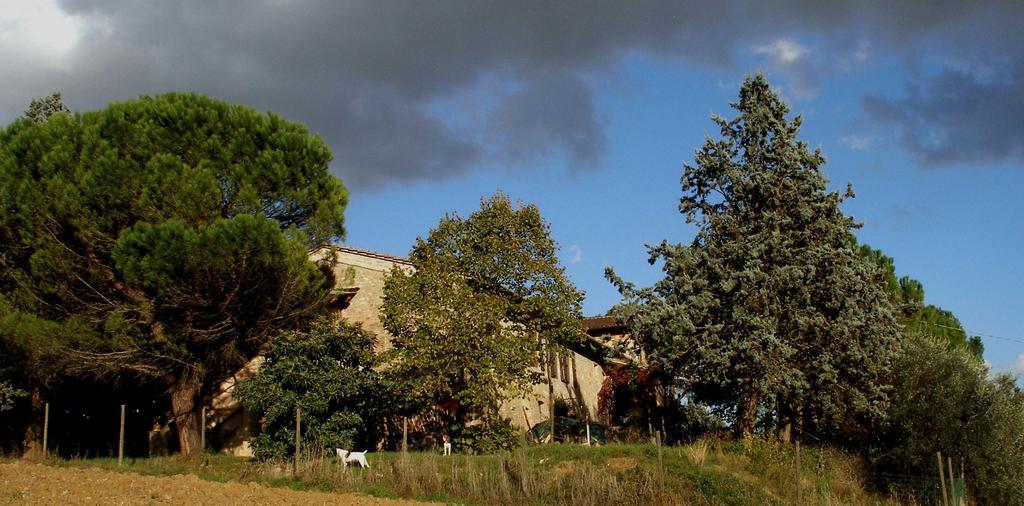 B&B Della Rosa Civitella D'Arna Exteriér fotografie